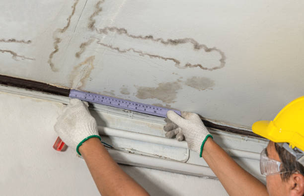 Reliable Burst Pipe Cleanup contractor in Spring City, UT by Water Damage Irwin